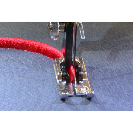 Frynsefot (gruppe 3)